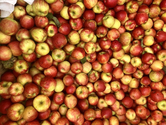 Apples pile