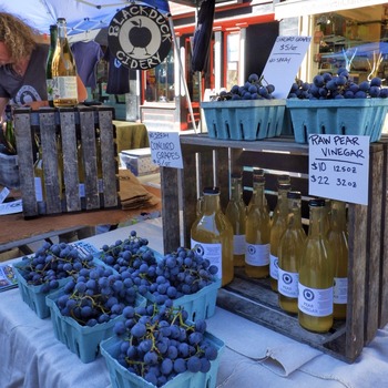 blueberry stand